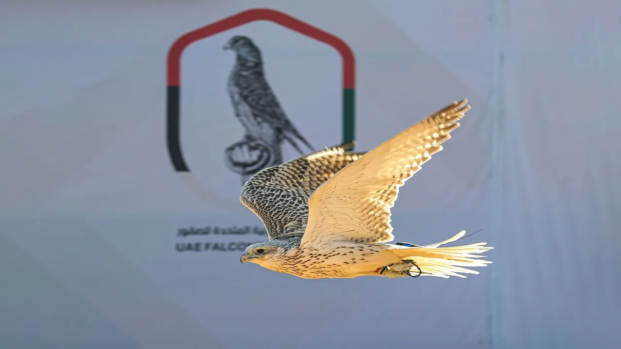 البحرين تستضيف النسخة الثانية من كأس الإمارات العالمي لسباقات الصقور برعاية أحمد بن محمد